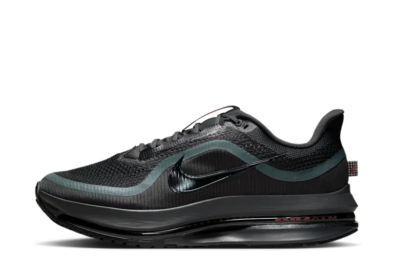 Nike Air Zoom Pegasus Premium Anthracite Black (HQ2592-011)