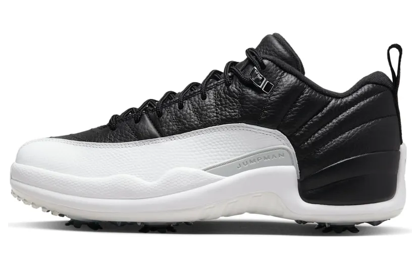 Air Jordan 12 DH4120-010