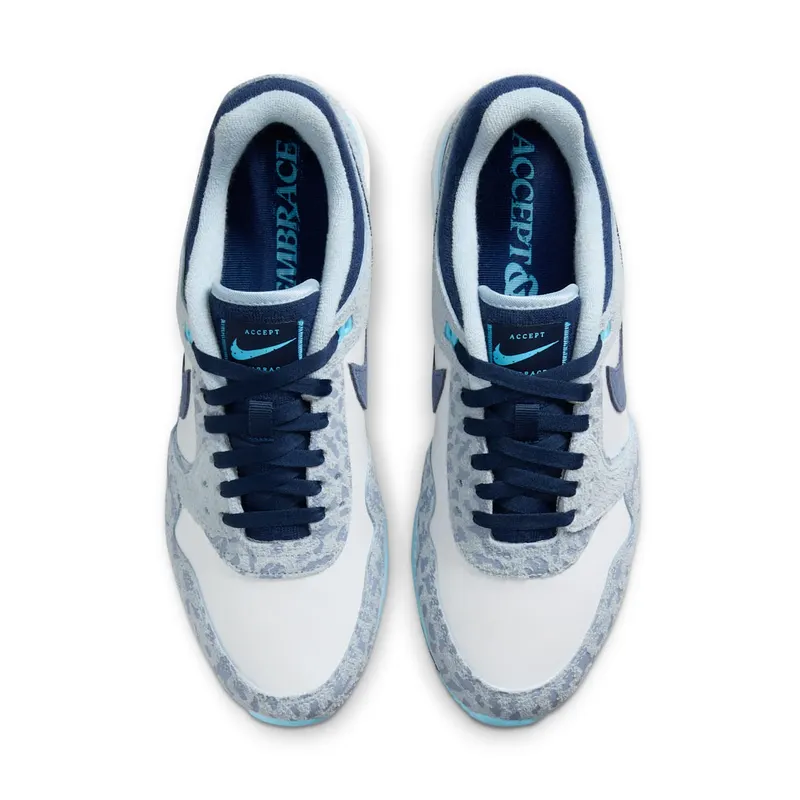 Nike Air Pegasus ’89 Golf NRG Accept and Embrace (FN6914-400)