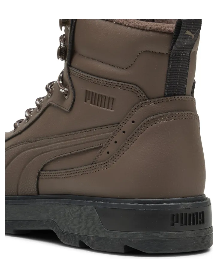 puma-desierto 392626_06