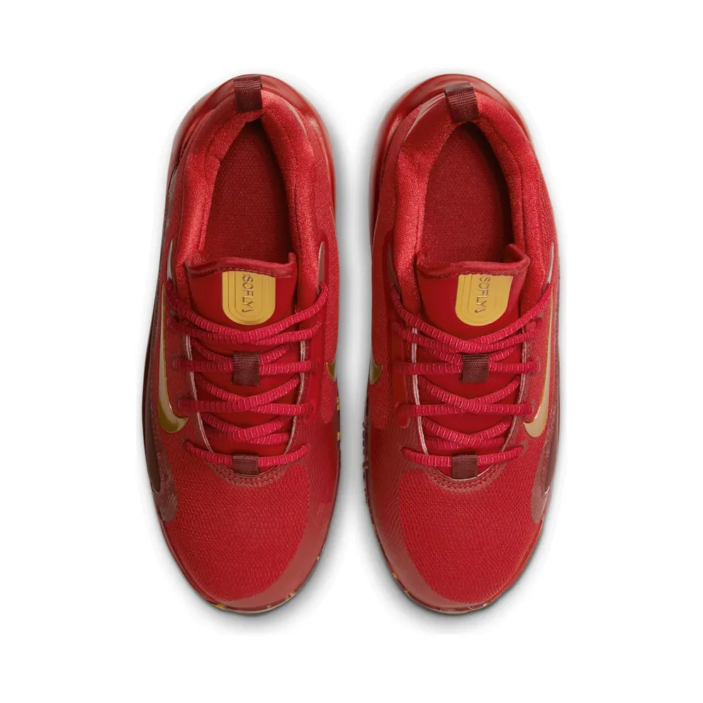 Nike IsoFly Gym Red Team Red Dark Team Red Metallic Gold (FZ7298-600)