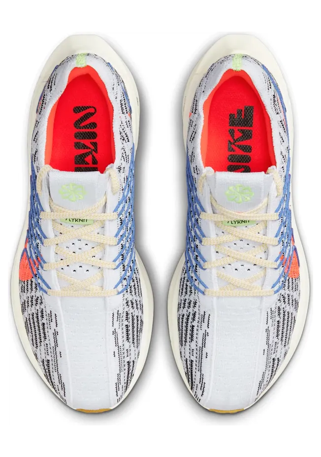 nike-air-pegasus DM3414-002