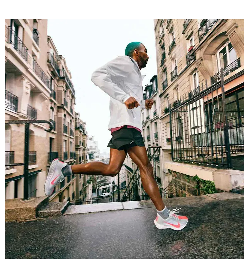 nike-air-pegasus FQ7262-801