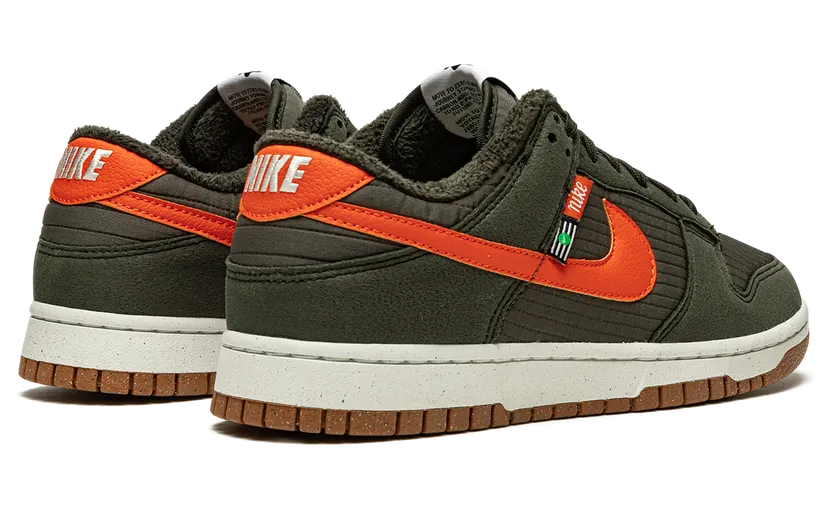 nike-dunk DD3358-300