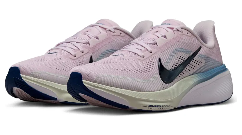 nike-air-pegasus IB1881-500