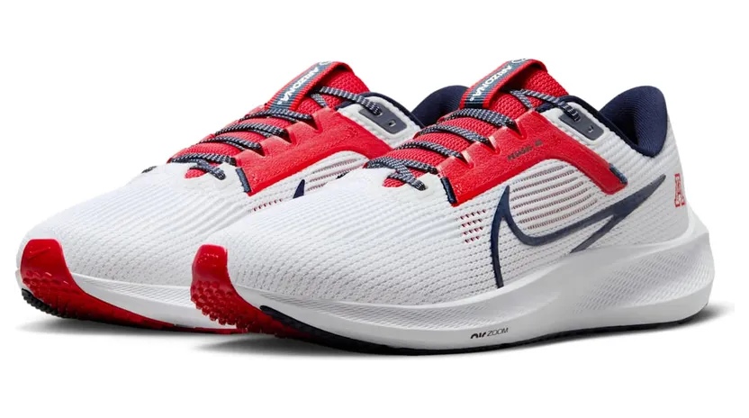 nike-air-pegasus DZ5945-100