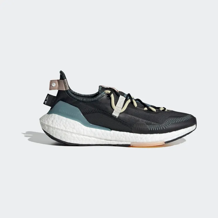 adidas Ultraboost 21 x Parley Carbon / Orbit Grey / Sandy Beige (GX1244)