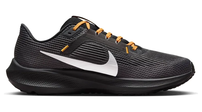 nike-air-pegasus DZ6006-001