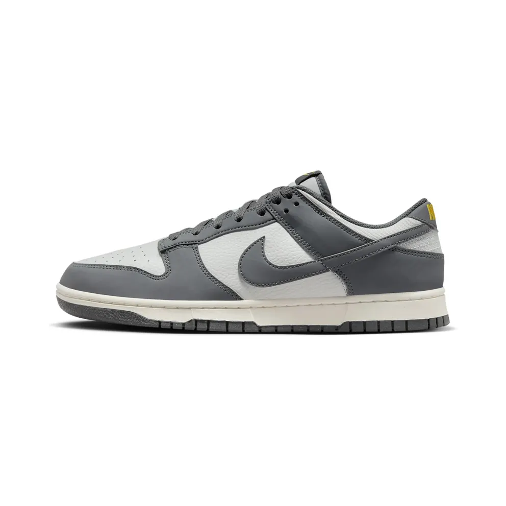 Nike Dunk Low Next Nature Iron Grey (FZ4621-001)