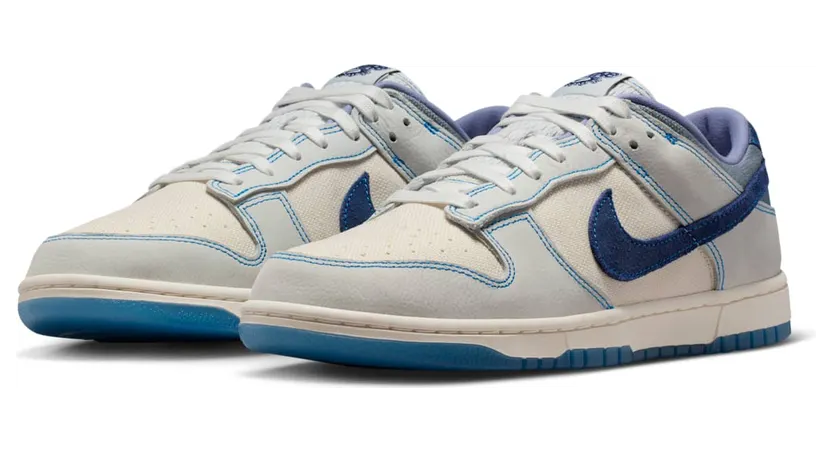nike-dunk IB6752-101