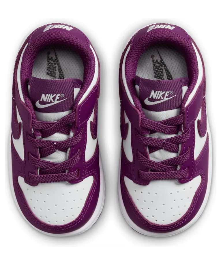 nike-dunk FB9107-110