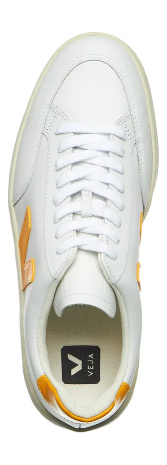 veja-v-12 XDM0202799