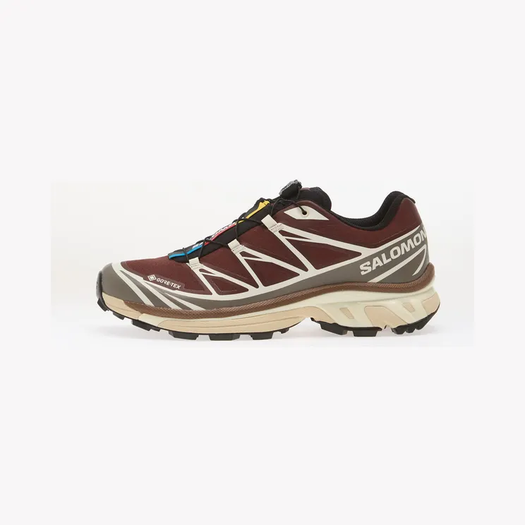 Sneakers Salomon XT-6 GTX Bchoco/ Iron/ Vanila (L49215200)