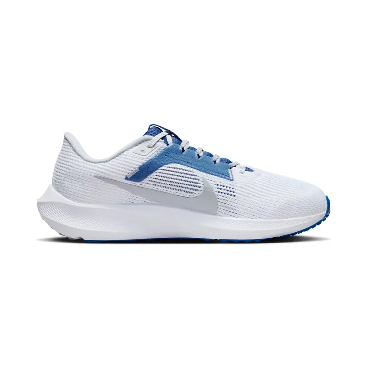 nike-air-pegasus DZ5986-100