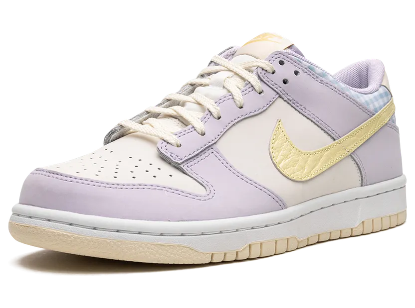 nike-dunk FJ4641-536