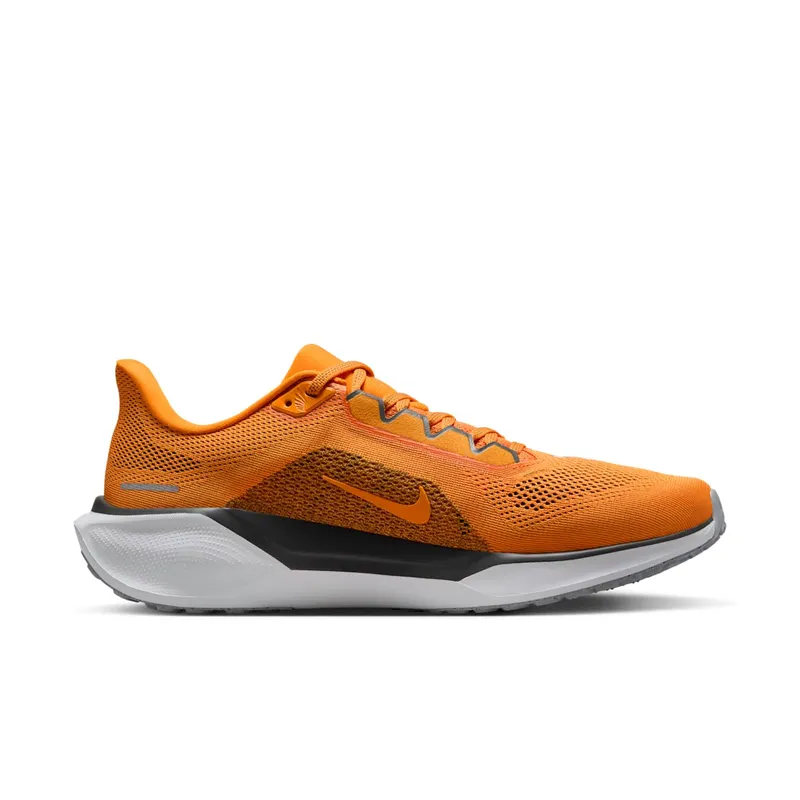 Nike Air Zoom Pegasus 41 Tennessee (FZ5144-800)