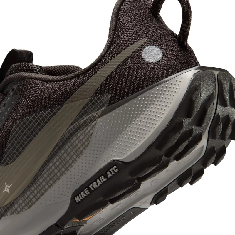 Nike Pegasus Trail Bruin (FV5638-201)