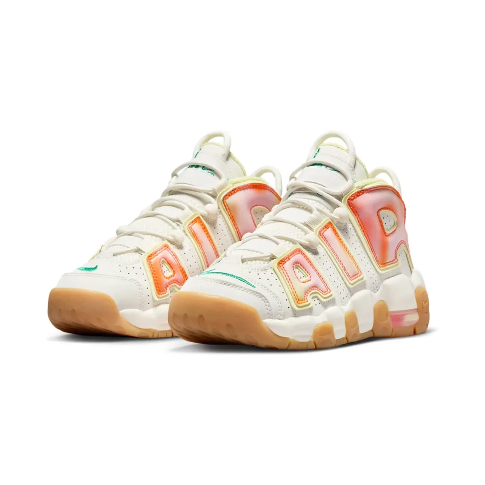 Nike Air More Uptempo Everything You Need (FB7702-100)