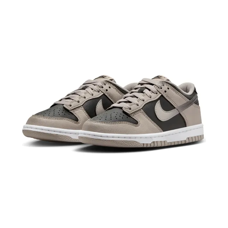 nike-dunk HV6363-009
