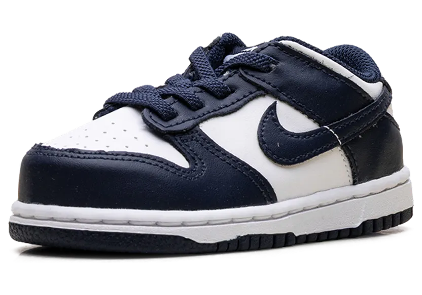 nike-dunk FB9107-116