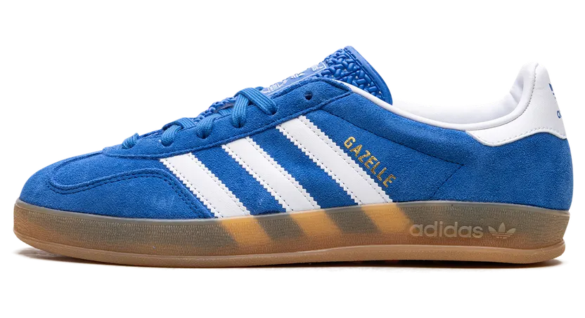 Adidas Gazelle Indoor Blue Bird / Cloud White / Gum (JI2061)