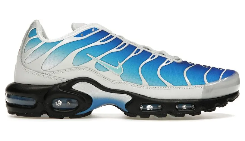 Nike Air Max Plus One Block Down Light Photo Blue (FZ3308-400)