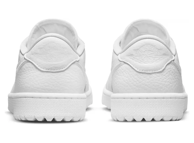 air-jordan-1 DD9315-101