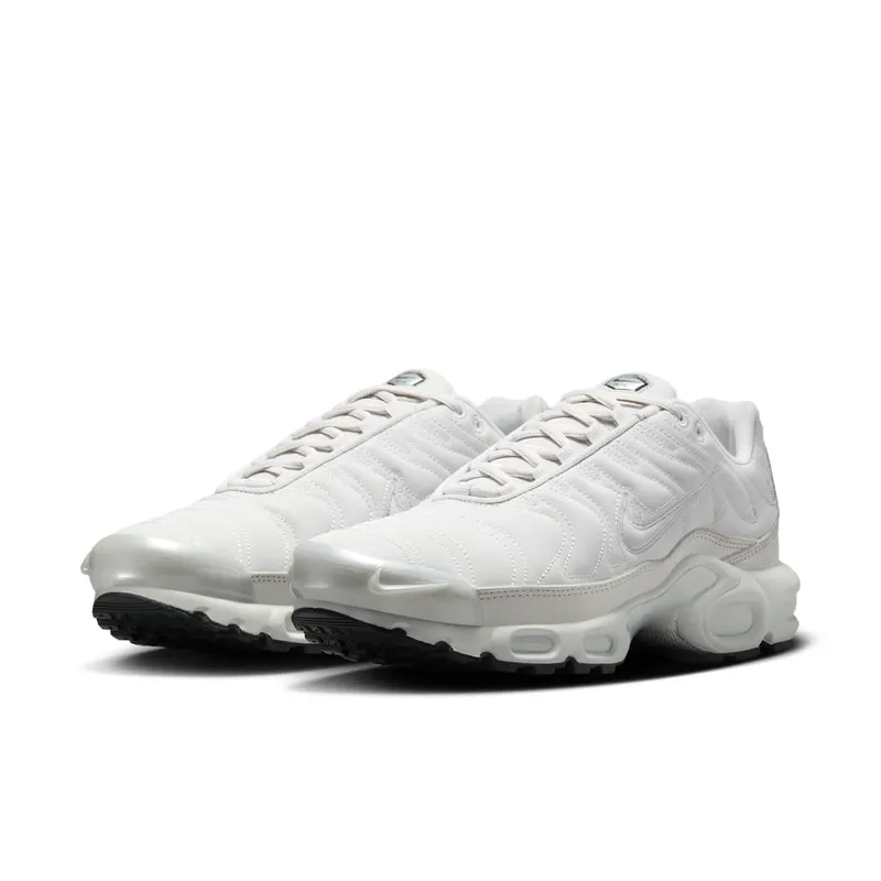 Nike Air Max Plus Platinum Tint/Dark Smoke Grey/Metallic Silver/Platinum Tint (FZ4342-001)