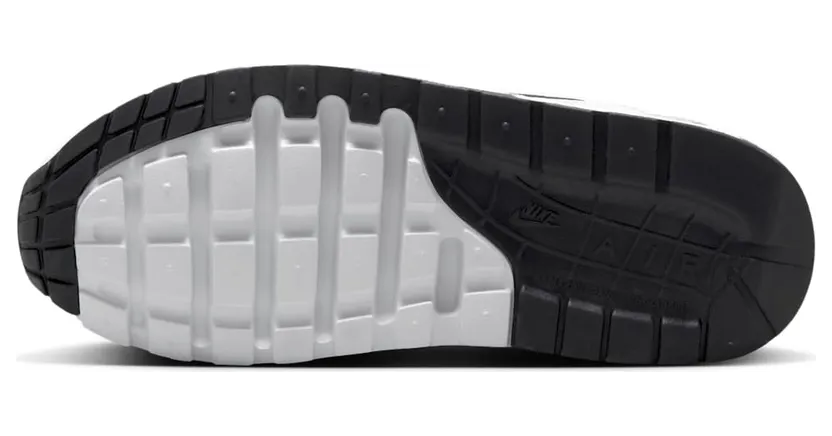 nike-air-max DZ3307-008