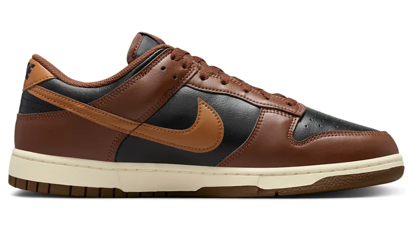 nike-dunk HF5441-004