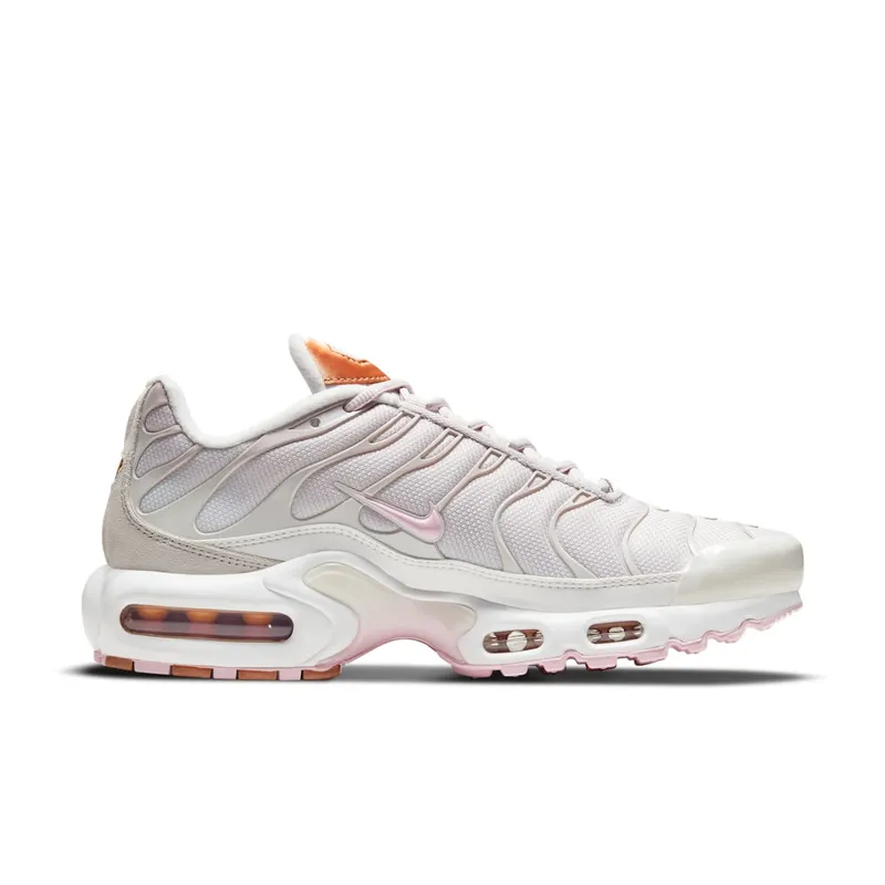 Nike Air Max Plus Grey (DD6612-001)