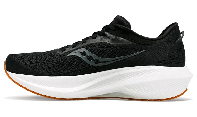 saucony-triumph S20881-100