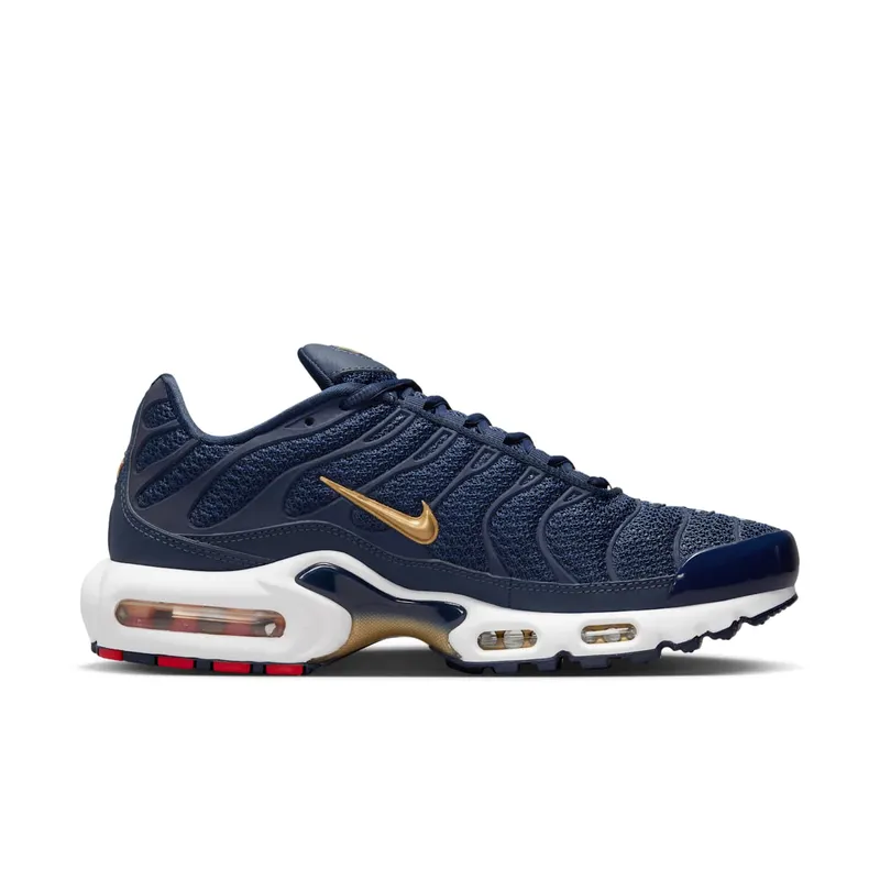 Nike Air Max Plus FFF (FB3350-400)