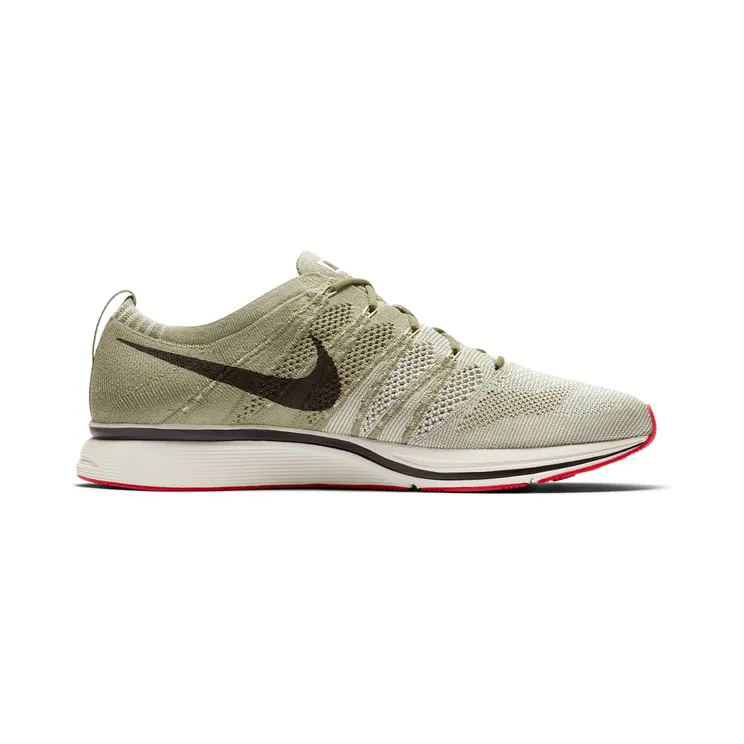 nike-flyknit-trainer AH8396-201