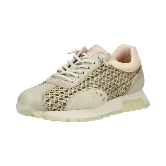 Hispanitas Kaki (A09118)