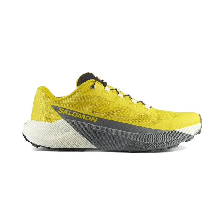 Salomon Pulsar Incaberry Sedona Sage (L47973200)