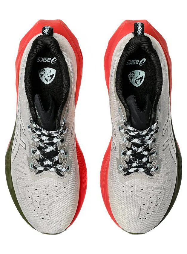 asics-novablast 1011B850-300