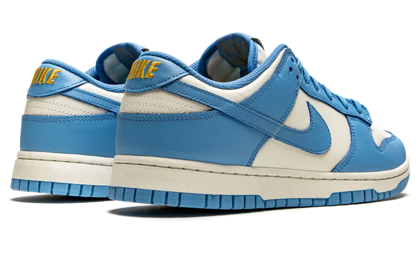 nike-dunk DD1503-100
