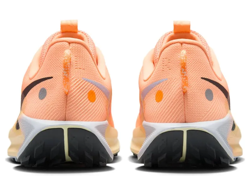 nike-air-pegasus DV3865-800