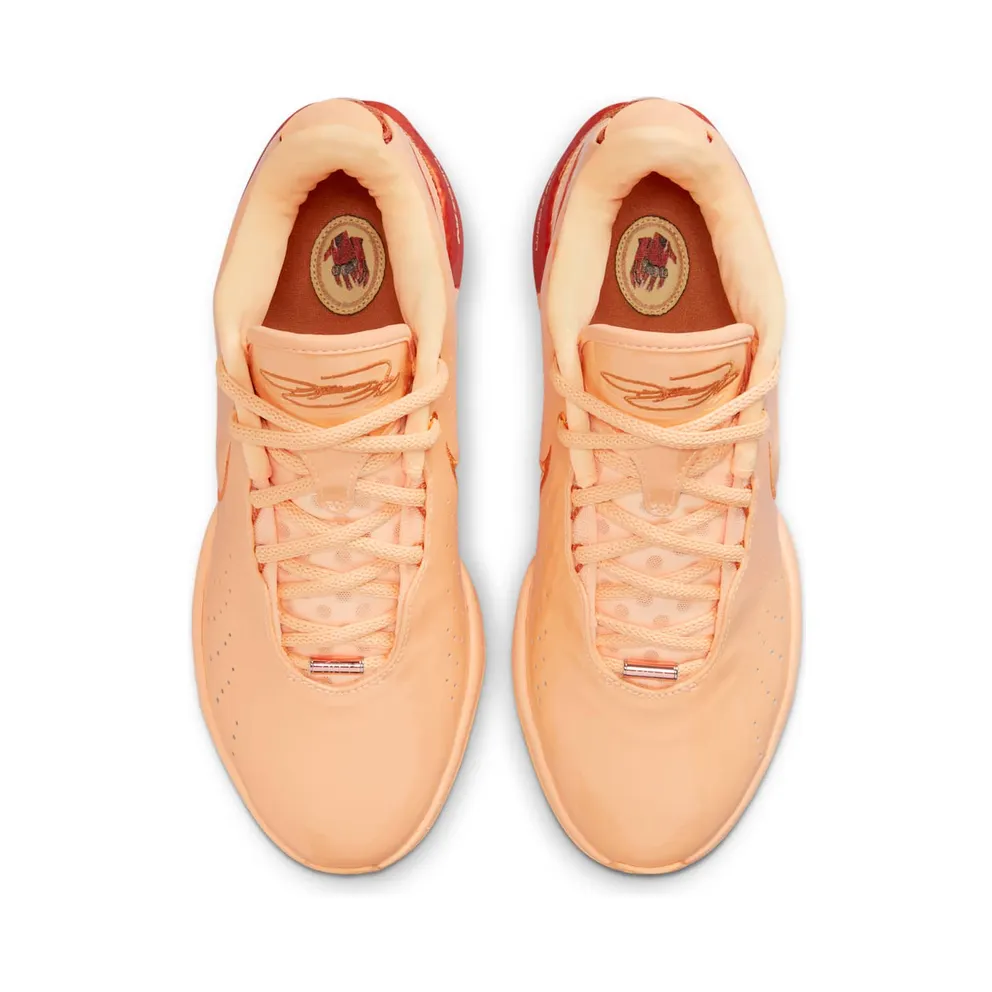 Nike LeBron 21 “Dragon Pearl” (FV2345-800)