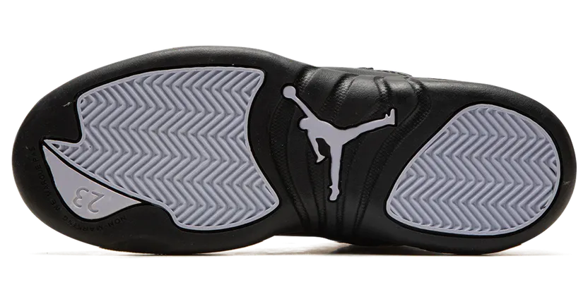 air-jordan-12 DR6954-100