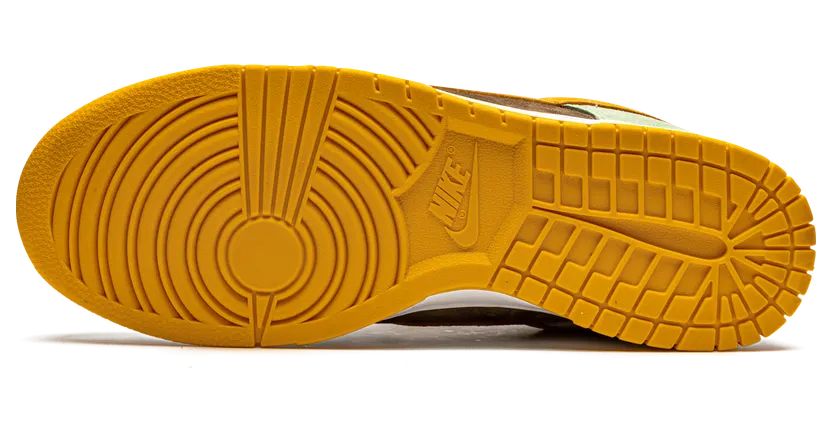 nike-dunk DH5360-300