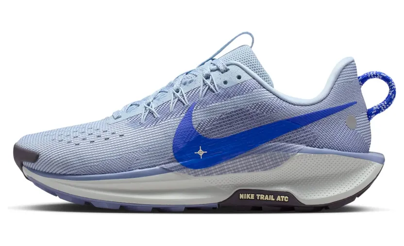 nike-air-pegasus DV3865-403