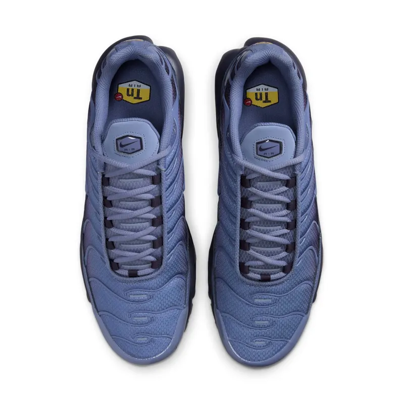 Nike Air Max Plus “World Indigo” (DM0032-404)