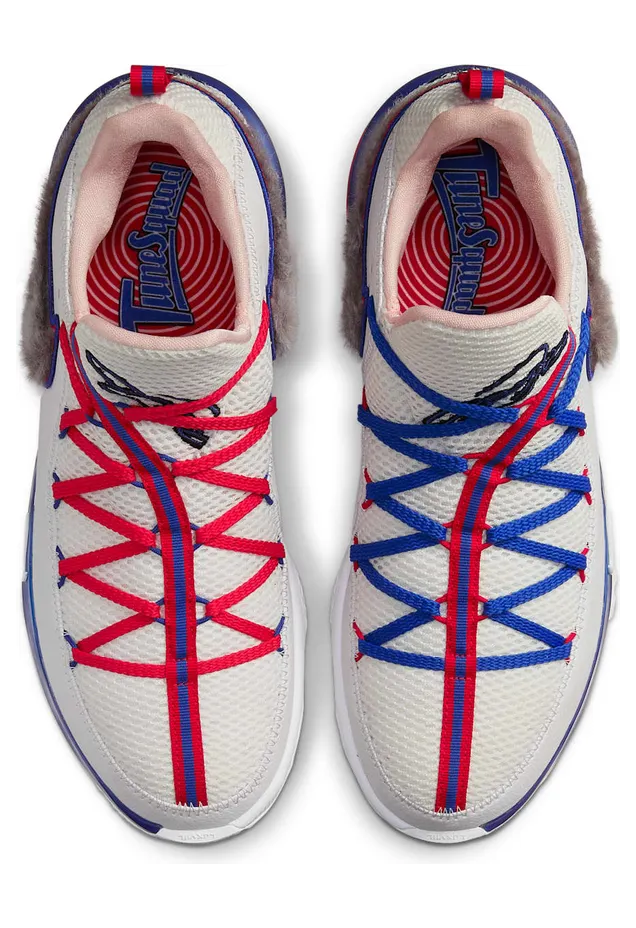 nike-lebron-17 CD5007-100
