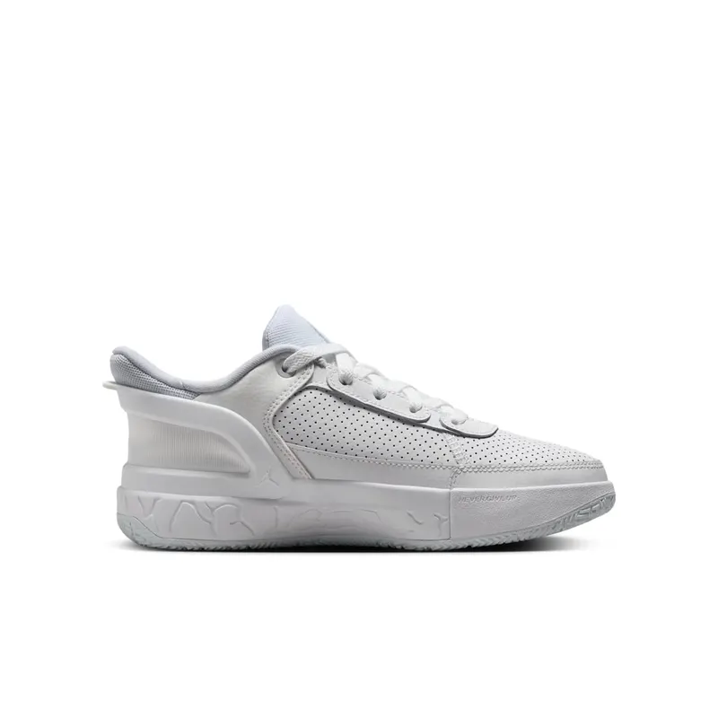 Jordan DAY1 EO White Summit White Pure Platinum (FQ1306-101)