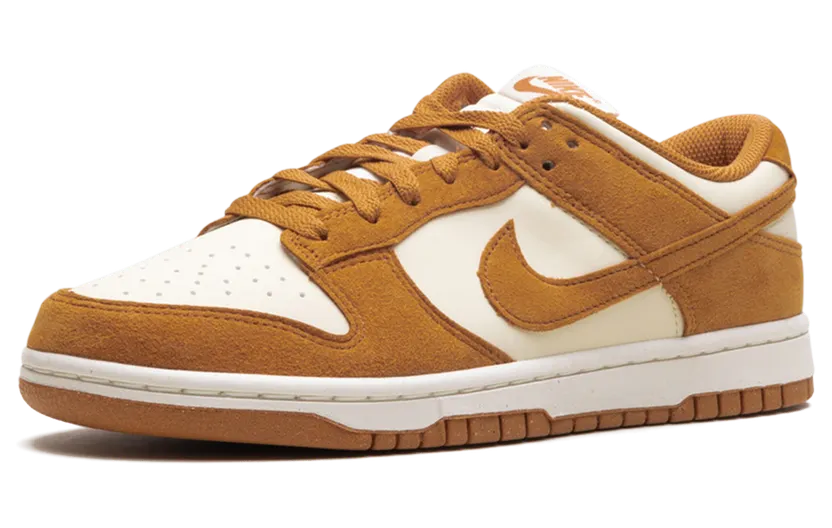 nike-dunk HJ7673-100