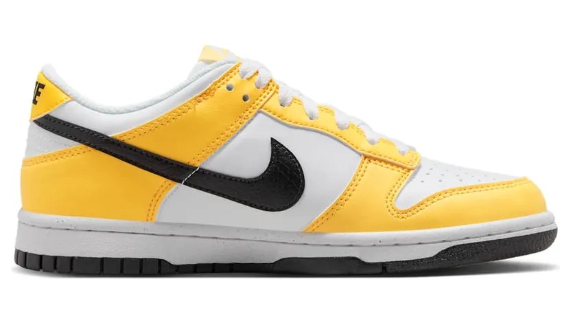 nike-dunk FN3807-800