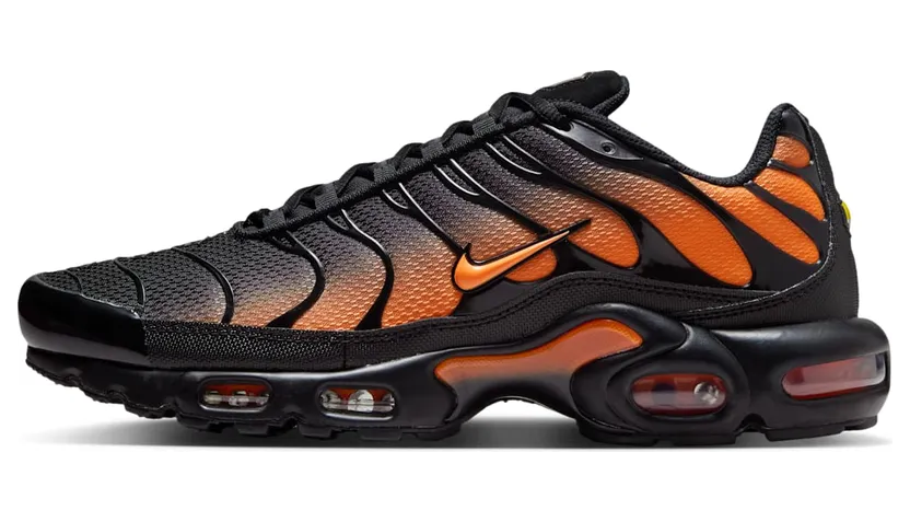 Nike Air Max Plus Black (DM0032-025)