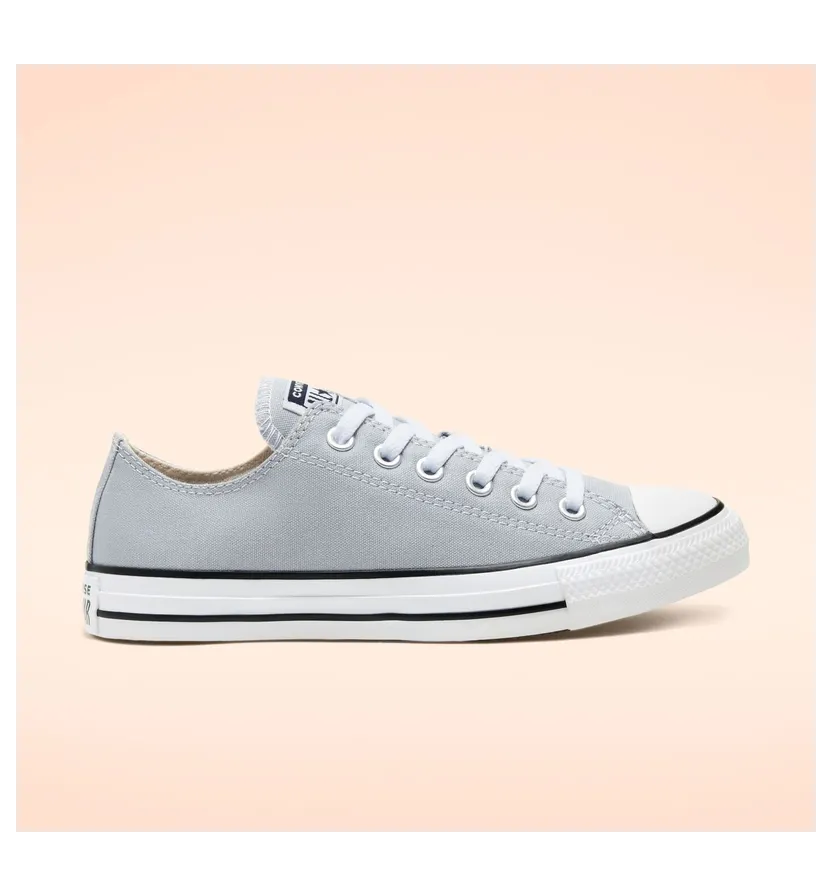 Converse Seasonal Color Chuck Taylor All Star Low Top Grey Grey (166710C)